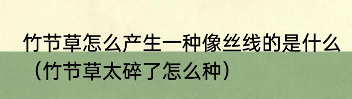 竹节草怎么产生一种像丝线的是什么（竹节草太碎了怎么种）