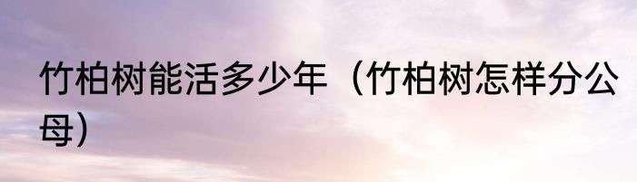竹柏树能活多少年（竹柏树怎样分公母）