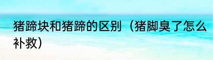 猪蹄块和猪蹄的区别（猪脚臭了怎么补救）