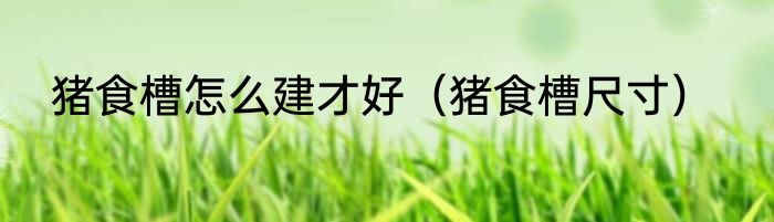 猪食槽怎么建才好（猪食槽尺寸）