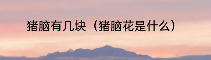 猪脑有几块（猪脑花是什么）