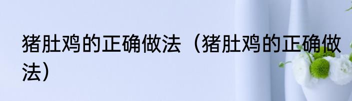 猪肚鸡的正确做法（猪肚鸡的正确做法）