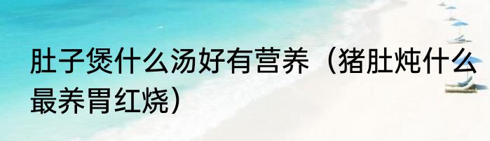肚子煲什么汤好有营养（猪肚炖什么最养胃红烧）