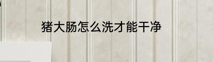 猪大肠怎么洗才能干净