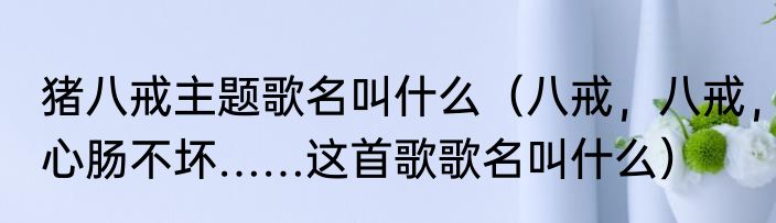 猪八戒主题歌名叫什么（八戒，八戒，心肠不坏……这首歌歌名叫什么）