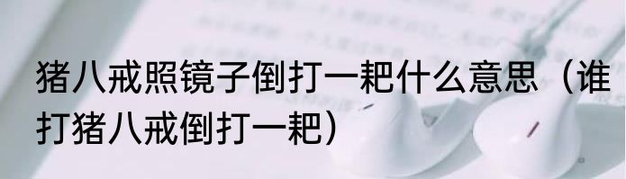 猪八戒照镜子倒打一耙什么意思（谁打猪八戒倒打一耙）