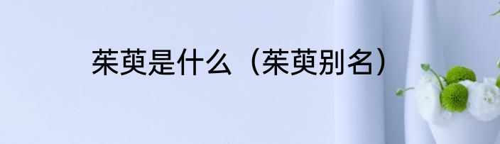 茱萸是什么（茱萸别名）