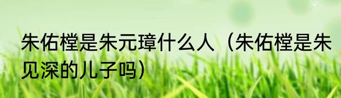 朱佑樘是朱元璋什么人（朱佑樘是朱见深的儿子吗）