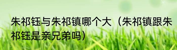 朱祁钰与朱祁镇哪个大（朱祁镇跟朱祁钰是亲兄弟吗）