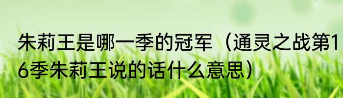 朱莉王是哪一季的冠军（通灵之战第16季朱莉王说的话什么意思）