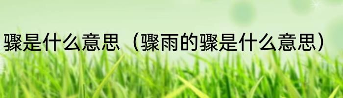 骤是什么意思（骤雨的骤是什么意思）