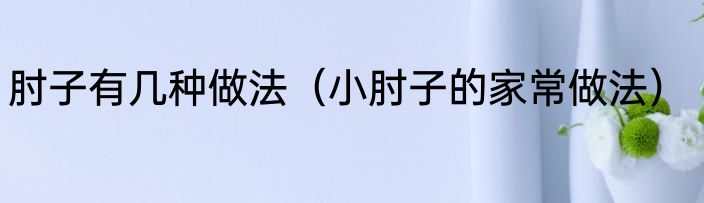 肘子有几种做法（小肘子的家常做法）