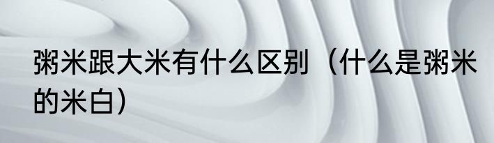 粥米跟大米有什么区别（什么是粥米的米白）