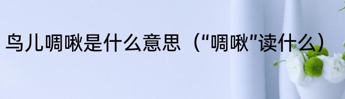 鸟儿啁啾是什么意思（“啁啾”读什么）