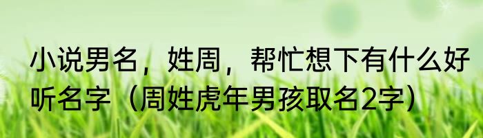 小说男名，姓周，帮忙想下有什么好听名字（周姓虎年男孩取名2字）