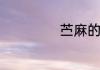 苎麻的成分是什么