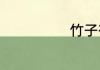 竹子有什么品质