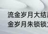 流金岁月大结局朱锁锁复婚了吗（流金岁月朱锁锁为啥没和杨柯在一起）