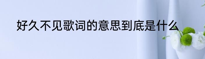 好久不见歌词的意思到底是什么
