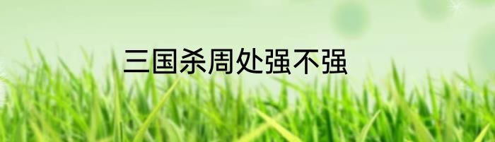 三国杀周处强不强