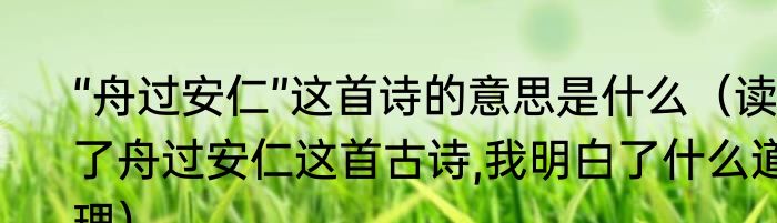 “舟过安仁”这首诗的意思是什么（读了舟过安仁这首古诗,我明白了什么道理）