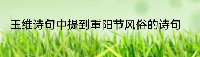 王维诗句中提到重阳节风俗的诗句