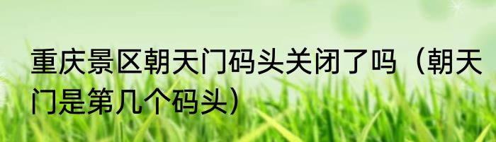 重庆景区朝天门码头关闭了吗（朝天门是第几个码头）