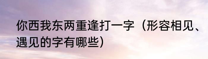 你西我东两重逢打一字（形容相见、遇见的字有哪些）