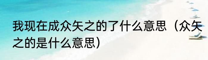 我现在成众矢之的了什么意思（众矢之的是什么意思）
