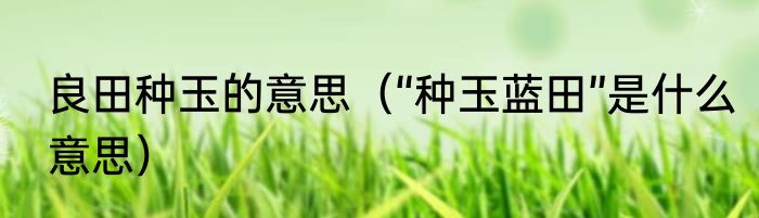 良田种玉的意思（“种玉蓝田”是什么意思）