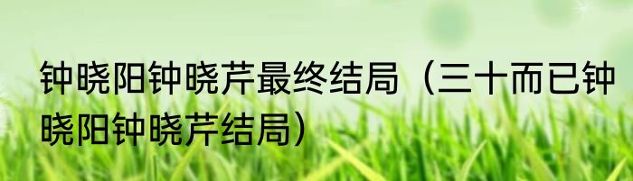 钟晓阳钟晓芹最终结局（三十而已钟晓阳钟晓芹结局）