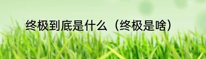 终极到底是什么（终极是啥）