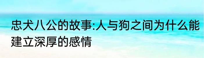 忠犬八公的故事:人与狗之间为什么能建立深厚的感情