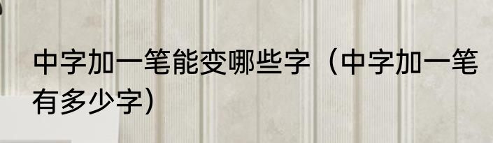 中字加一笔能变哪些字（中字加一笔有多少字）