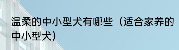 温柔的中小型犬有哪些（适合家养的中小型犬）