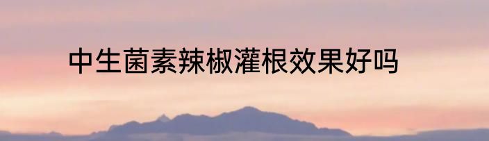 中生菌素辣椒灌根效果好吗