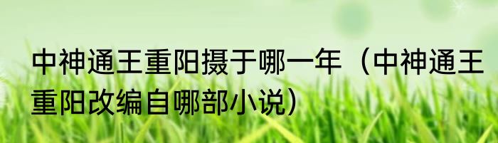 中神通王重阳摄于哪一年（中神通王重阳改编自哪部小说）