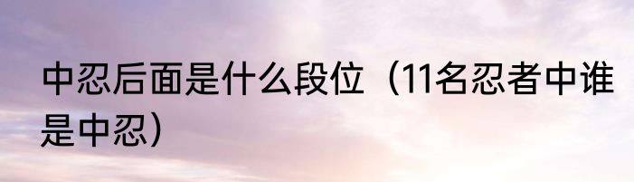 中忍后面是什么段位（11名忍者中谁是中忍）