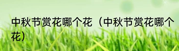 中秋节赏花哪个花（中秋节赏花哪个花）