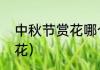 中秋节赏花哪个花（中秋节赏花哪个花）