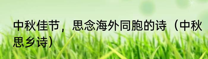 中秋佳节，思念海外同胞的诗（中秋思乡诗）