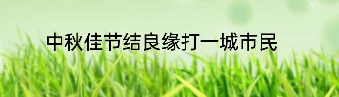 中秋佳节结良缘打一城市民