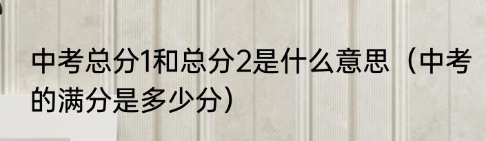 中考总分1和总分2是什么意思（中考的满分是多少分）