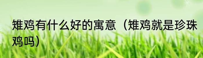 雉鸡有什么好的寓意（雉鸡就是珍珠鸡吗）