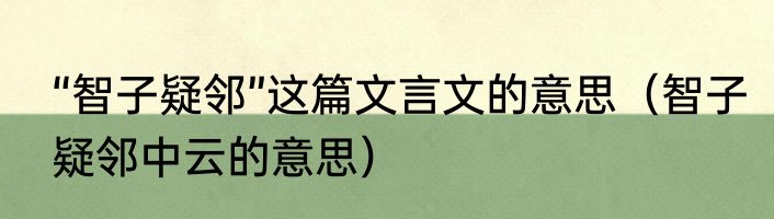 “智子疑邻”这篇文言文的意思（智子疑邻中云的意思）