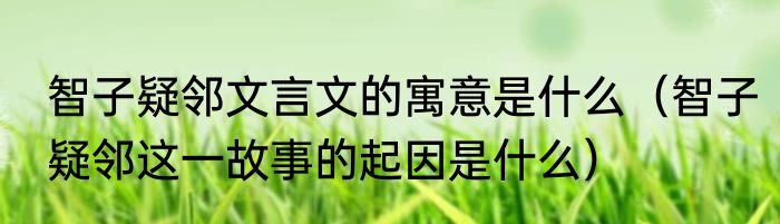 智子疑邻文言文的寓意是什么（智子疑邻这一故事的起因是什么）