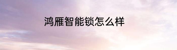 鸿雁智能锁怎么样