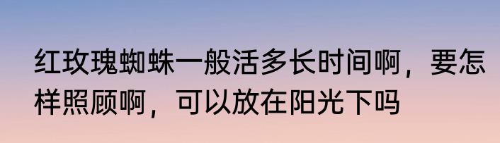 红玫瑰蜘蛛一般活多长时间啊，要怎样照顾啊，可以放在阳光下吗