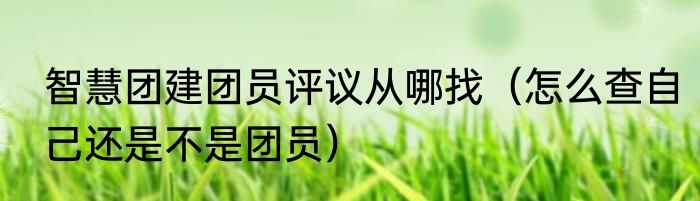 智慧团建团员评议从哪找（怎么查自己还是不是团员）