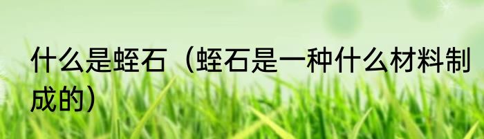 什么是蛭石（蛭石是一种什么材料制成的）